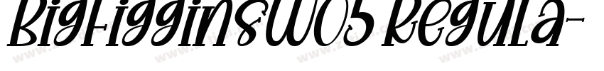 BigFigginsW05 Regula字体转换